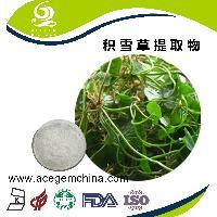 高純度紅參提取物 艾森格生物 品質保證_中國蕪湖_艾森格_植物提取物-