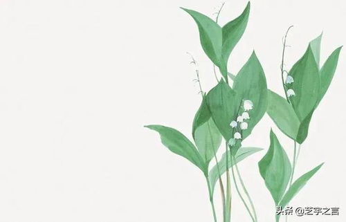 大自然的美麗饋贈 植物提取物