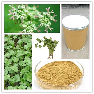 現(xiàn)貨供應(yīng)香菜提取物_西安_植物提取物-